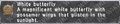 Thumbnail for version as of 22:22, 29 August 2026