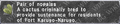 Thumbnail for version as of 23:30, 29 August 2026