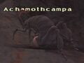 Thumbnail for version as of 21:18, 29 August 2026