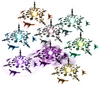 All twelve Elemental variants.