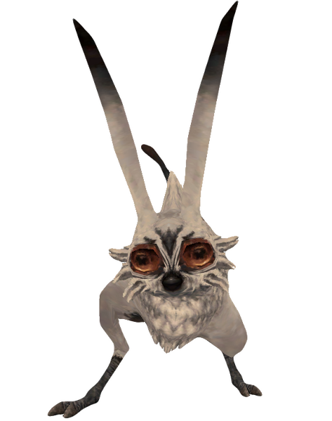 File:Rabbit 3.png