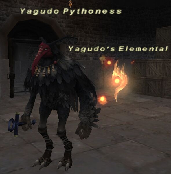 File:Yagudo Pythoness.jpg