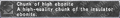 Thumbnail for version as of 22:57, 29 August 2026