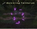 Thumbnail for version as of 22:54, 29 August 2026