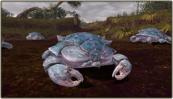 Craklaw