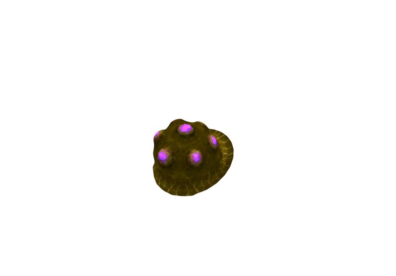 File:Slime 4.png