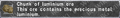 Thumbnail for version as of 22:40, 29 August 2026