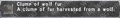 Thumbnail for version as of 23:12, 29 August 2026