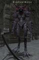 Thumbnail for version as of 22:07, 29 August 2026
