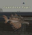 Thumbnail for version as of 22:37, 29 August 2026