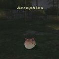 Thumbnail for version as of 21:48, 29 August 2026