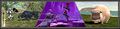 Thumbnail for version as of 23:29, 29 August 2026