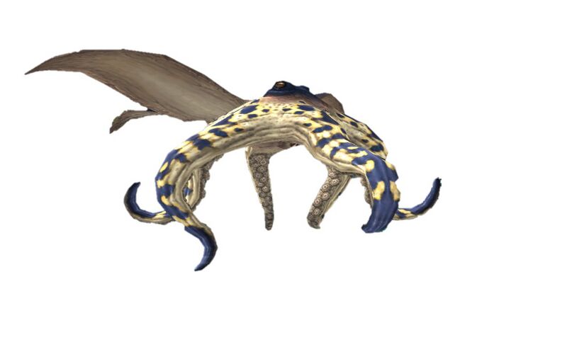 File:Category-SeaMonk.jpg