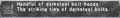 Thumbnail for version as of 22:40, 29 August 2026