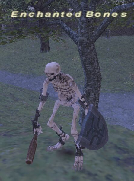 File:Enchanted bones.jpg
