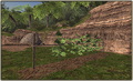 Thumbnail for version as of 22:49, 29 August 2026