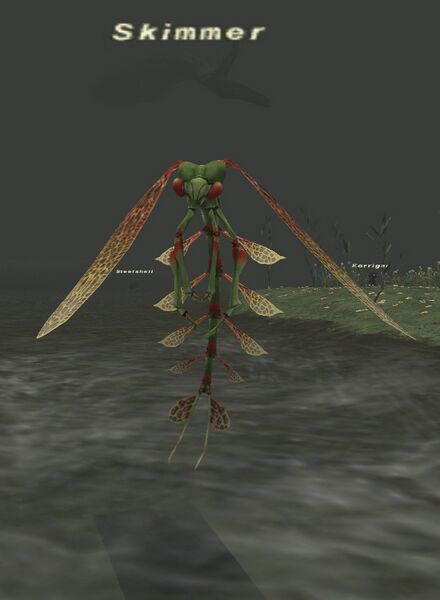 File:Skimmer.jpg