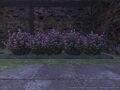 Thumbnail for version as of 22:55, 29 August 2026