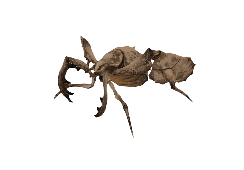 File:Antlion 2.png