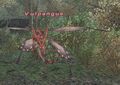 Thumbnail for version as of 22:19, 29 August 2026