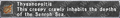 Thumbnail for version as of 23:38, 29 August 2026