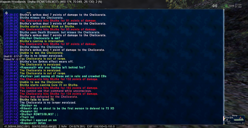 File:Ffxi 2010.06.21 22.24.48.png