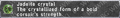 Thumbnail for version as of 23:07, 29 August 2026