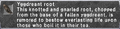 Thumbnail for version as of 22:51, 29 August 2026