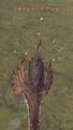 Thumbnail for version as of 23:25, 29 August 2026