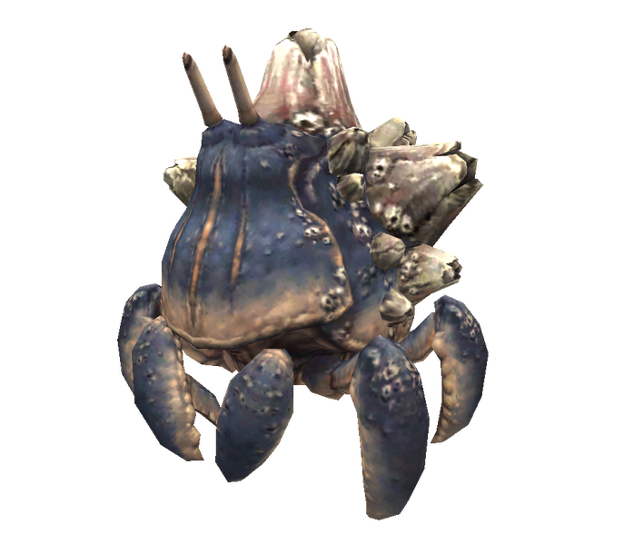 File:Barnacled Crab.png