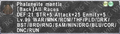 Thumbnail for version as of 21:23, 29 August 2026