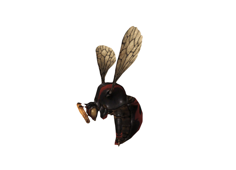 File:Bee 2.png