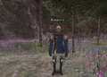 Thumbnail for version as of 21:44, 29 August 2026