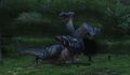 Thumbnail for version as of 21:15, 29 August 2026