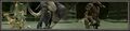 Thumbnail for version as of 22:06, 29 August 2026