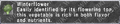 Thumbnail for version as of 22:36, 29 August 2026