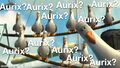 Thumbnail for version as of 23:21, 29 August 2026