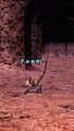 Thumbnail for version as of 21:02, 29 August 2026