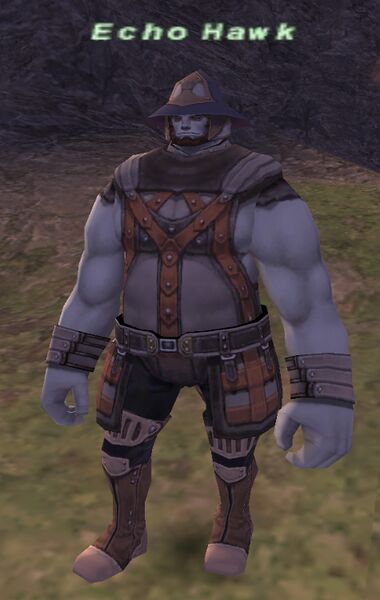 File:Echo Hawk (A).jpg