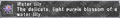 Thumbnail for version as of 21:19, 29 August 2026