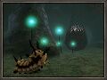 Thumbnail for version as of 23:48, 29 August 2026