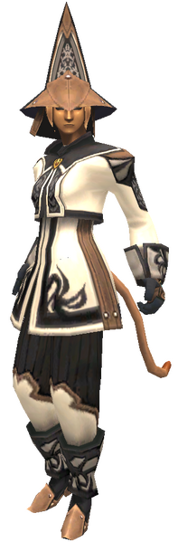 File:Errant Attire Set.png