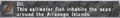 Thumbnail for version as of 23:00, 29 August 2026