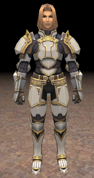 File:Stylelock Jeuno Gate Guard.png