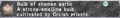 Thumbnail for version as of 22:41, 29 August 2026
