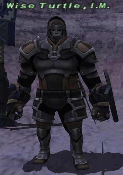 File:Wise Turtle, I.M..jpg