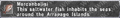 Thumbnail for version as of 21:07, 29 August 2026
