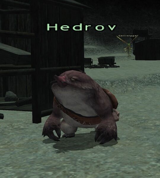 File:Hedrov.jpg