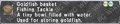 Thumbnail for version as of 22:49, 29 August 2026