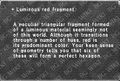 Thumbnail for version as of 22:57, 29 August 2026